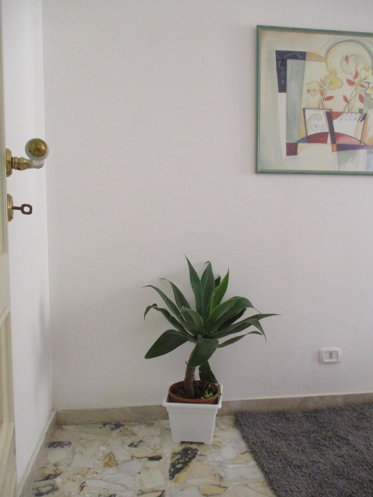 Maison Ortigia Bed & Breakfast Syracuse